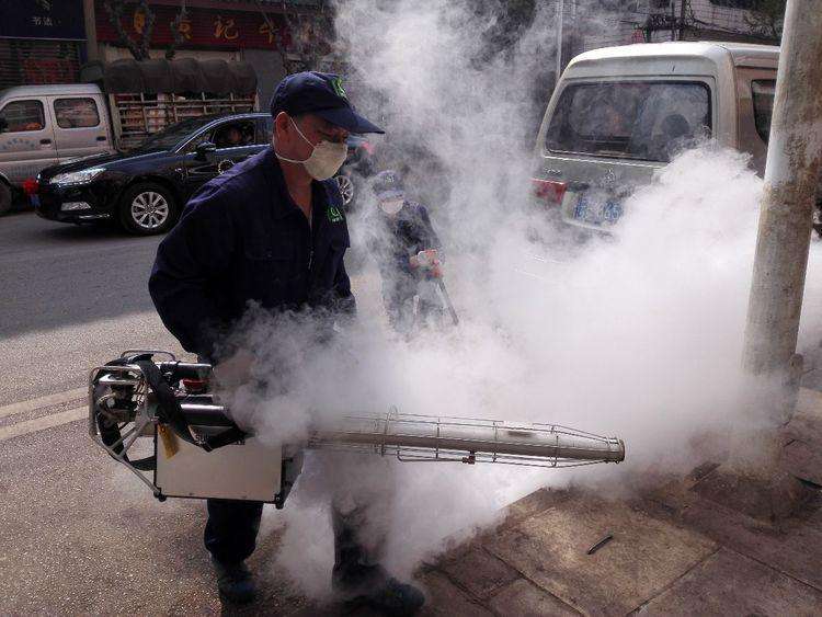 成功簽定 邵陽滅鼠公司,湖南鼎嘉環境科技有限公司 網站建設合同