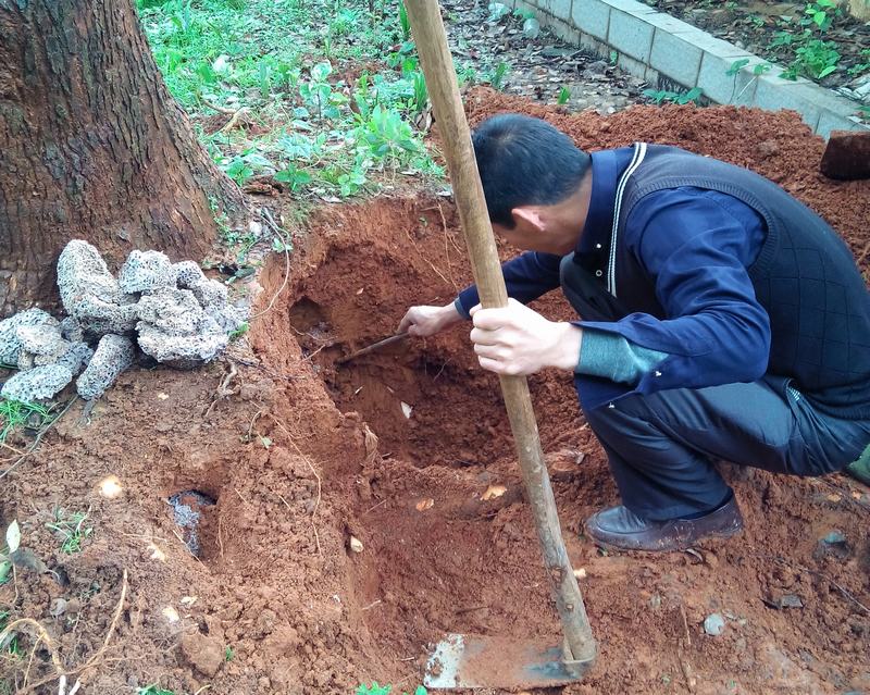 �ɹ����� �Lɳ��ρ���ι�˾ �W(w��ng)վ��(y��u)��������ͬ