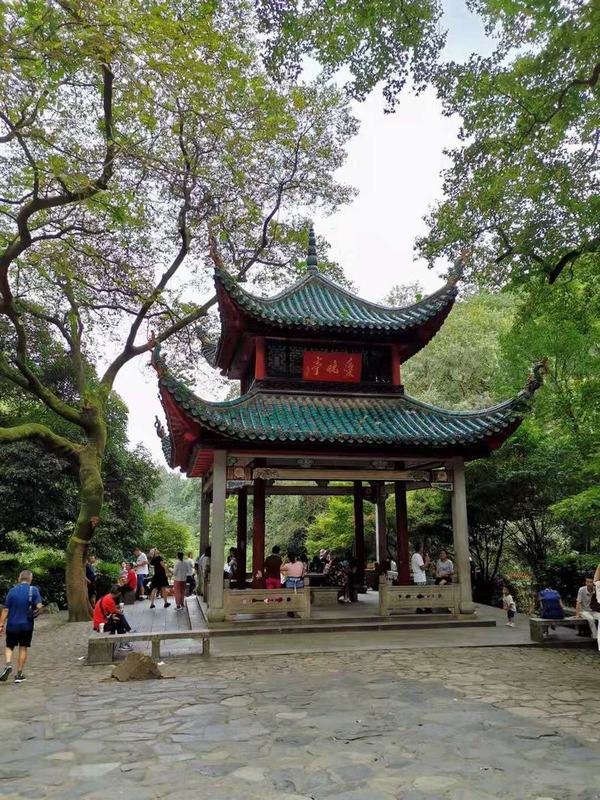 ��´ɽ�_�����W�j�������Wվʮ������������´ɽ��ӛ