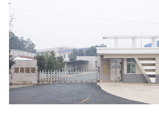 成功簽定 湖南雄駿科技有限公司 網站建設合同