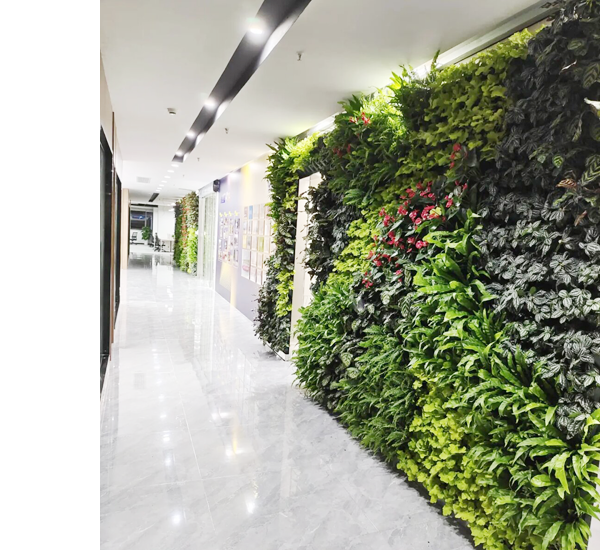 成功簽定 湖南YW綠建環保科技有限公司 網站建設合同